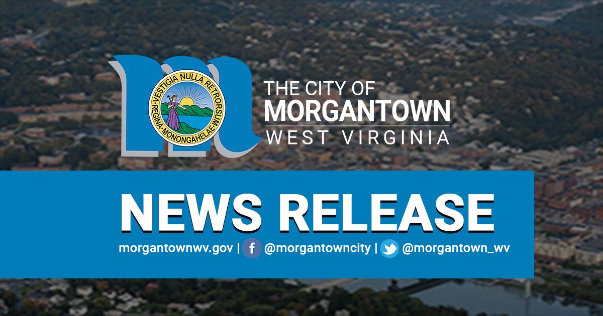 A graphic showing that the article is a news release.