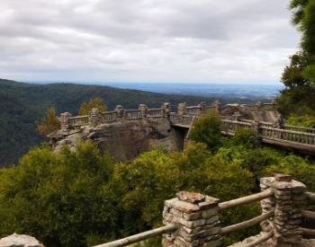 View of forested mountain