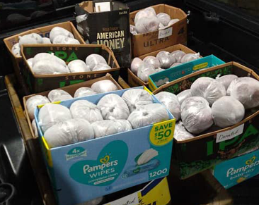 deer hunt pic news flash