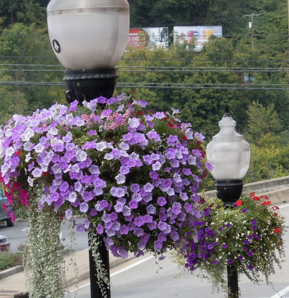 2 Baskets Bottom of Pleasant Street