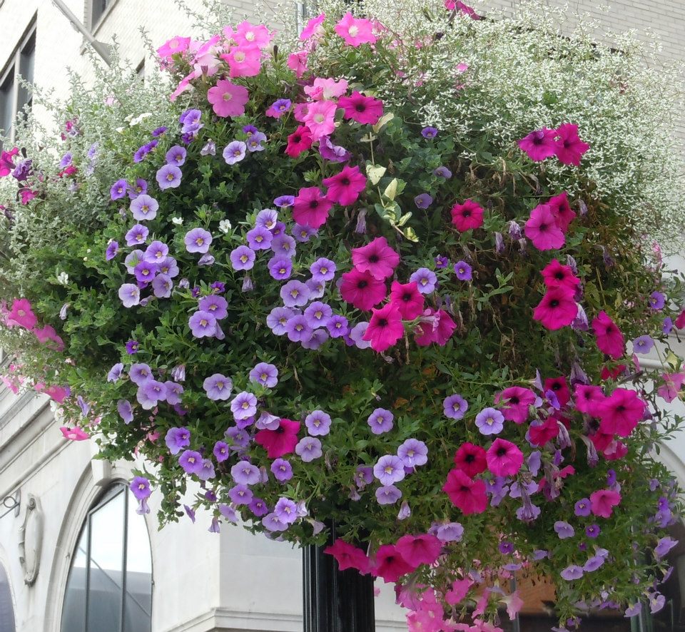 Basket by Hotel Morgan