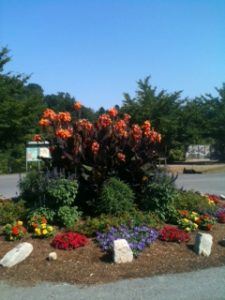 Early Summer Hrmp Circle