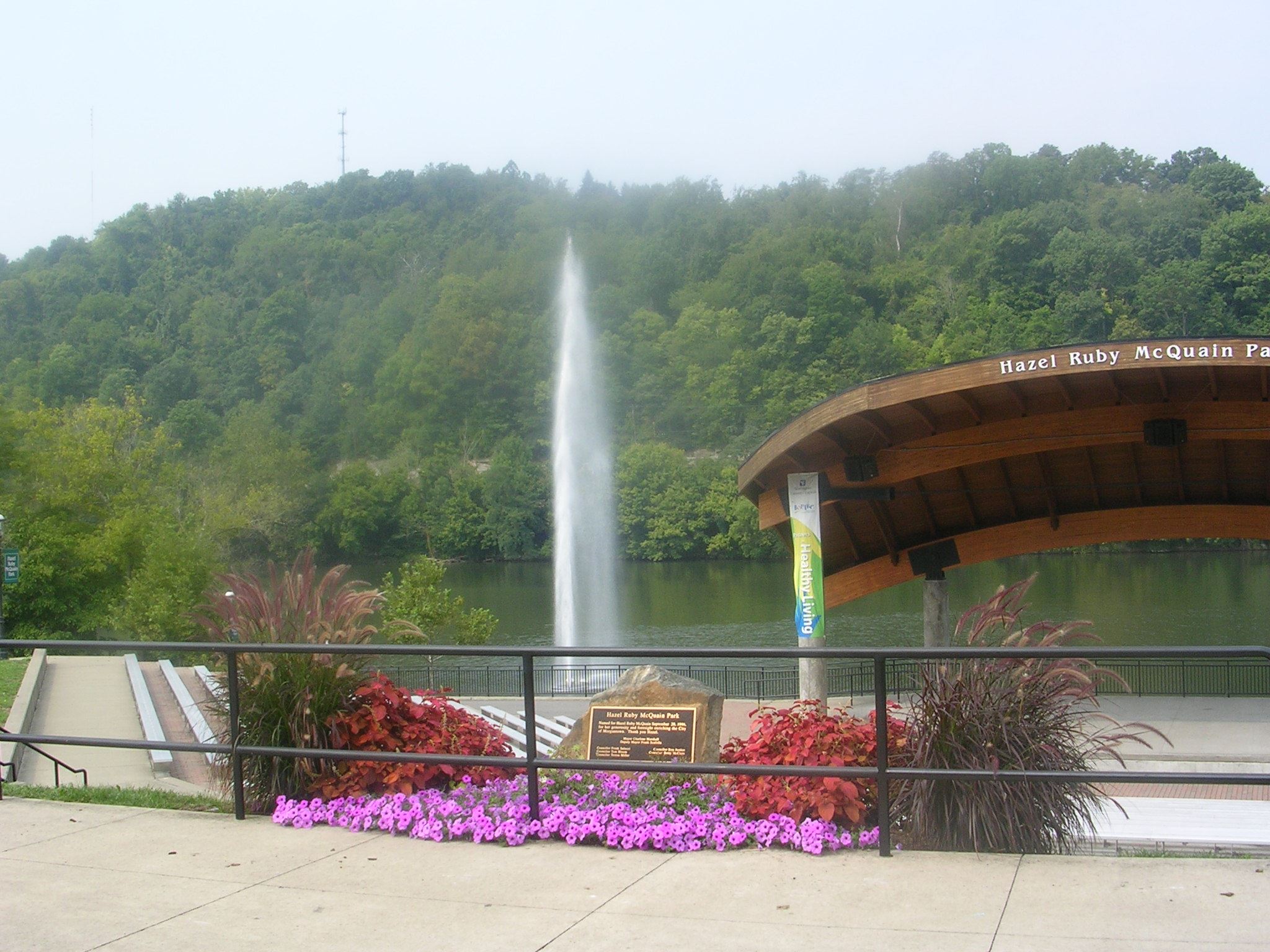 Flowers Behind a Fence
