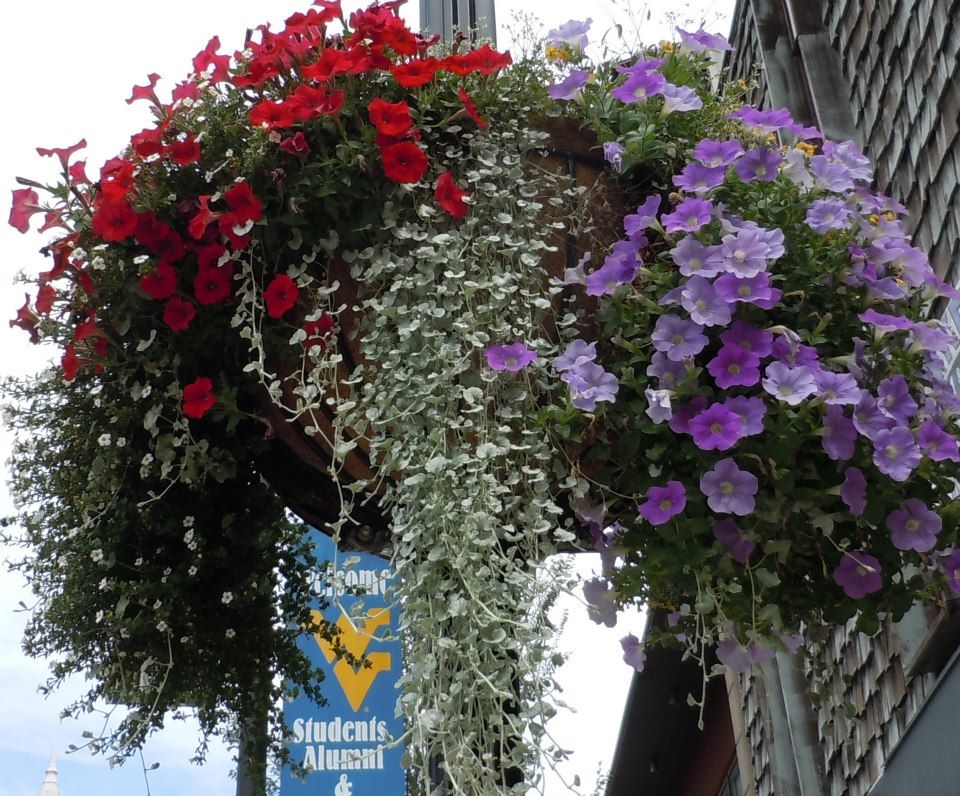 High Street 1st block 2012