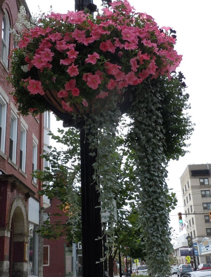 High Street 3rd block 2012