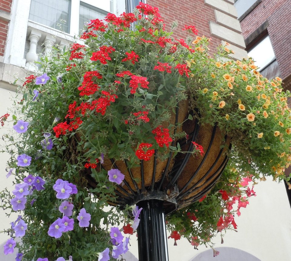 High Street 2012 3rd block