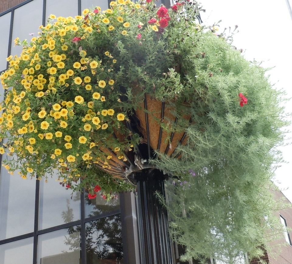 High Street Basket 2012