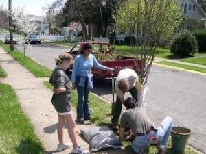 Arbor Day 2007