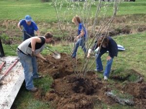 Arbor Day 2013
